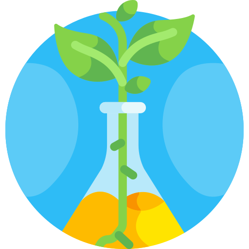 School Of Environmental Science